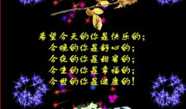 随风视频,揭秘随风视频的魅力与影响力